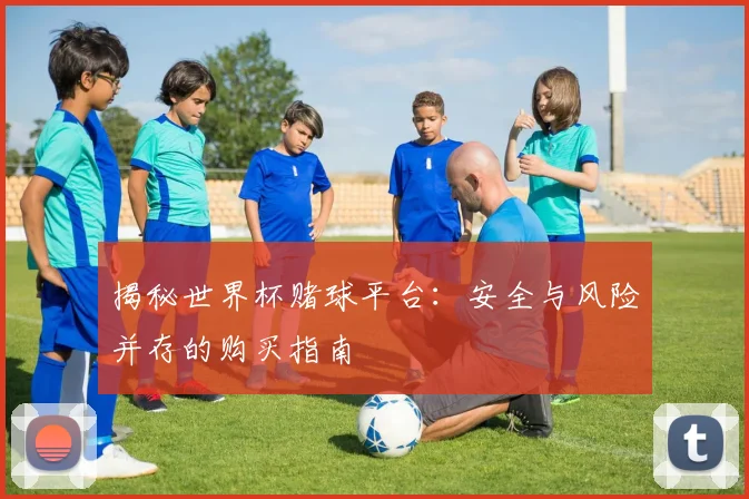 揭秘世界杯赌球平台：安全与风险并存的购买指南