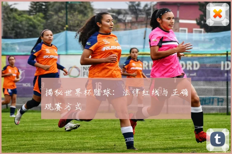 揭秘世界杯赌球：法律红线与正确观赛方式