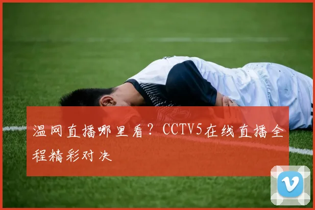 温网直播哪里看?CCTV5在线直播全程精彩对决