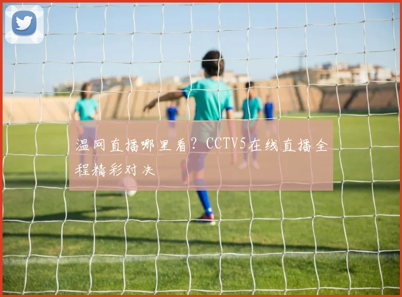 温网直播哪里看?CCTV5在线直播全程精彩对决